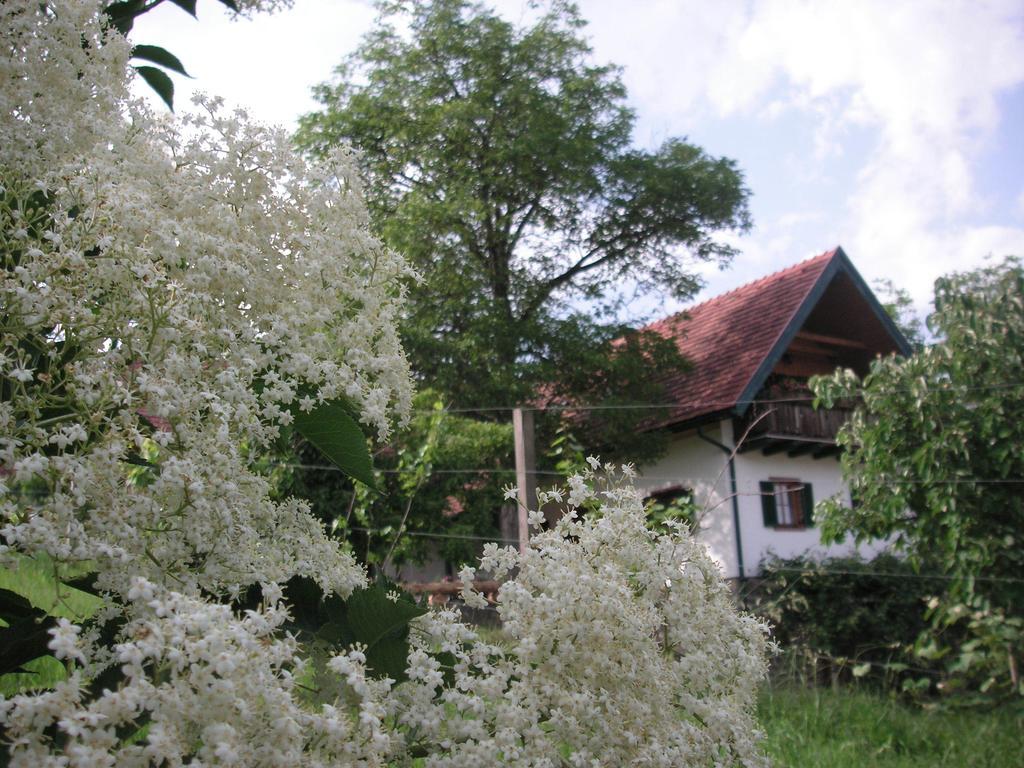 Bauernhof Grain Villa Feldbach  Exterior photo