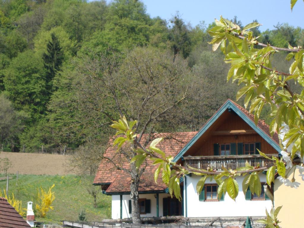 Bauernhof Grain Villa Feldbach  Exterior photo
