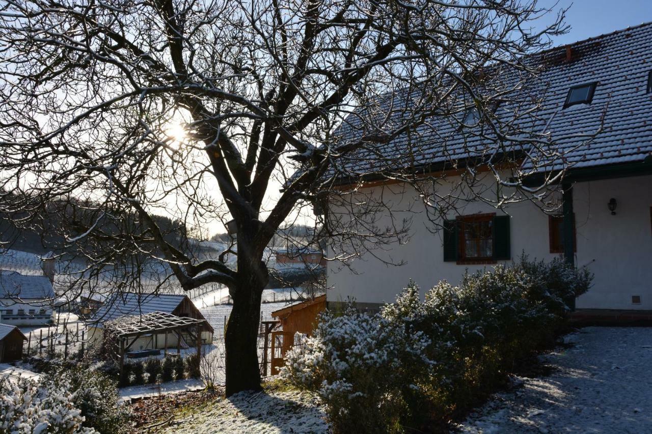 Bauernhof Grain Villa Feldbach  Exterior photo